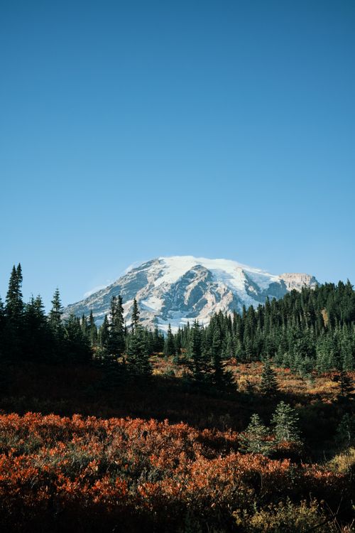 Free Majestic snowcapped mountain with lush evergreen forest under clear blue sky. Stock Photo