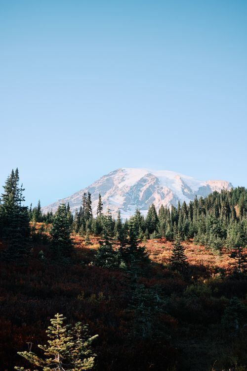 Free A stunning view of Mount Rainier with autumn foliage in the foreground, under a clear blue sky. Stock Photo