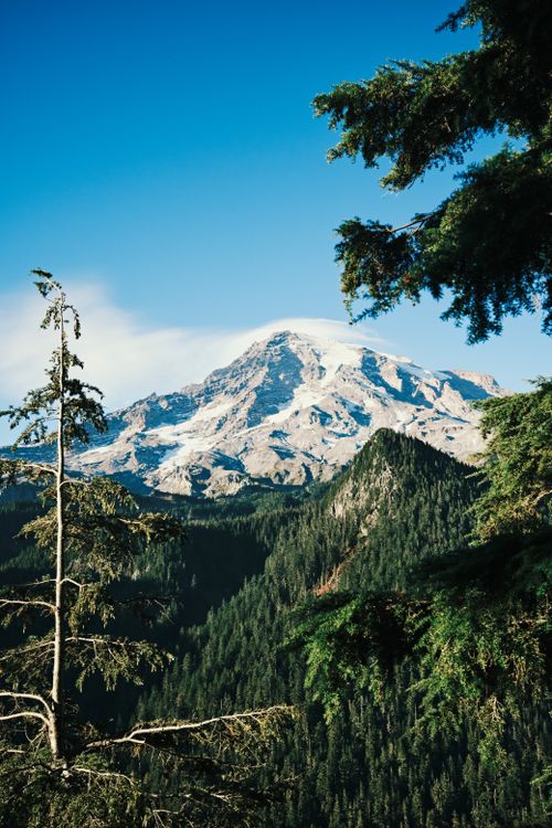 Free Scenic view of Mount Rainier framed by lush trees under a clear blue sky. Stock Photo