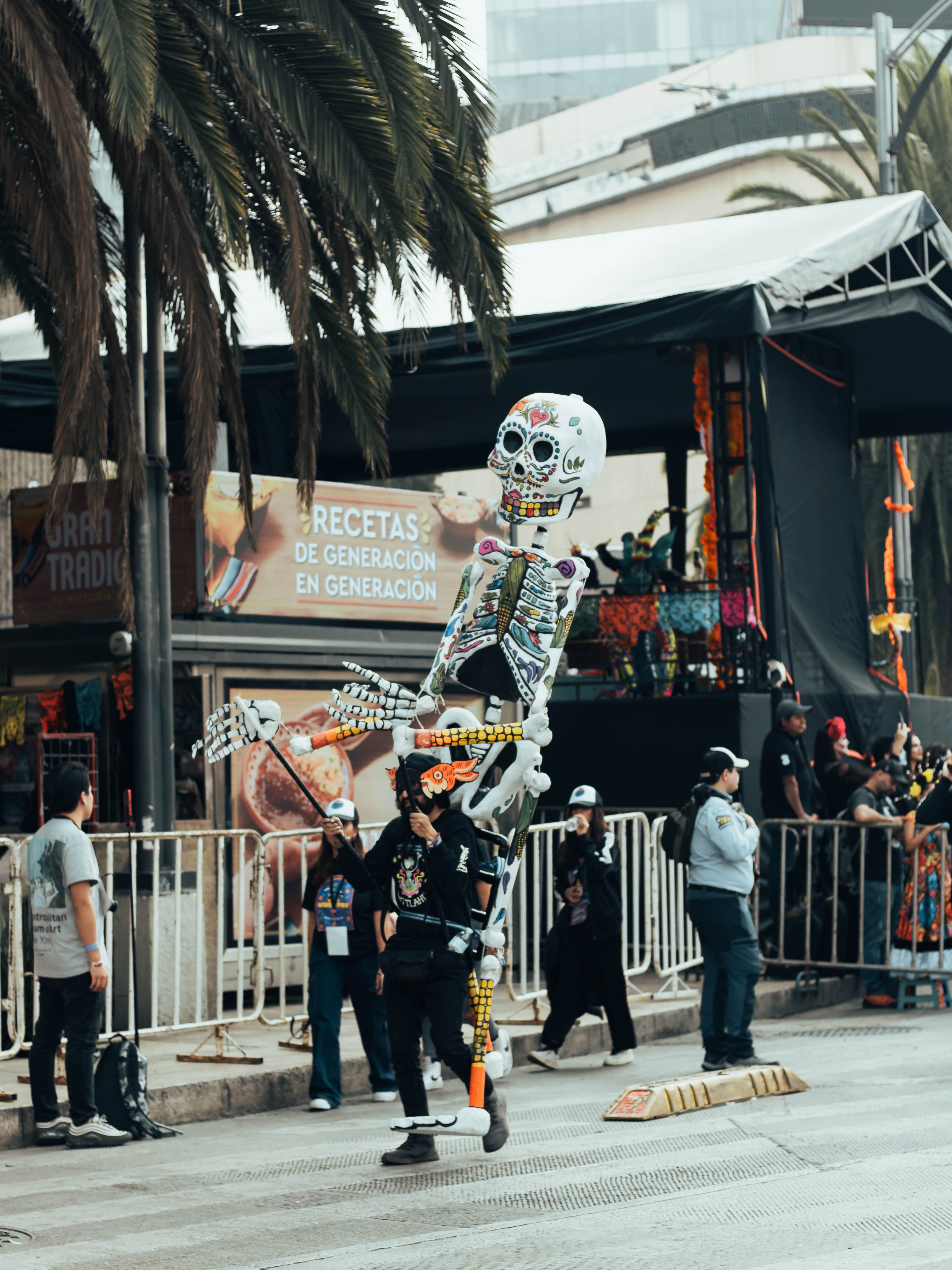 Day of the Dead Parade in Mexico City · Free Stock Photo