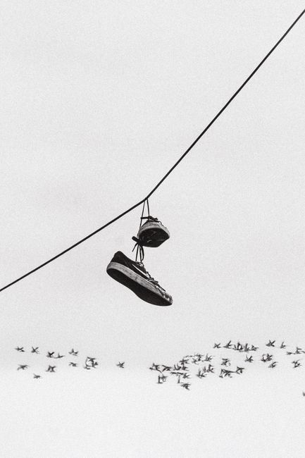 Black and white artistic photo of shoes on a wire with a flock of birds in Salvador, Brazil.