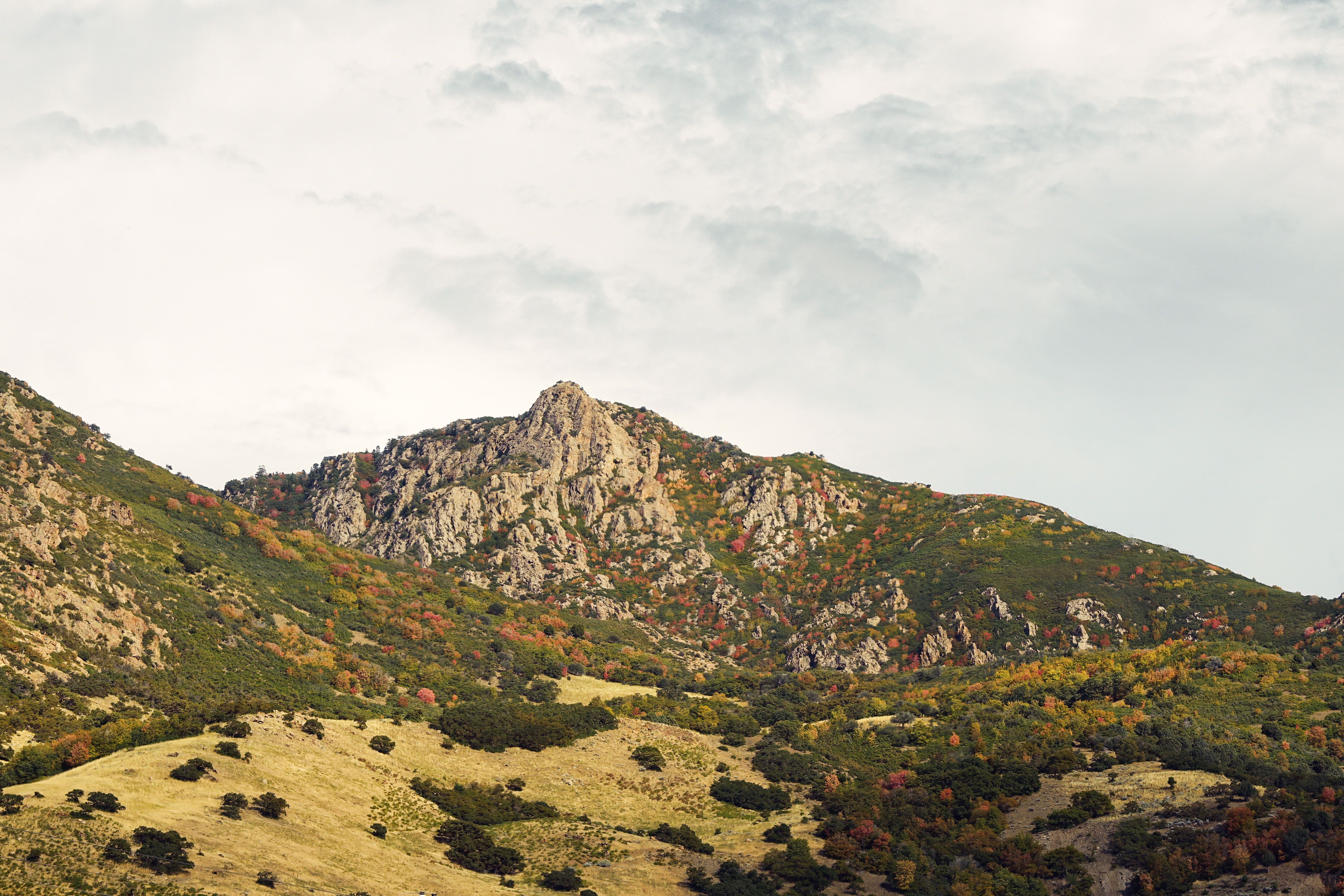 Scenic Mountain View with Autumn Colors · Free Stock Photo