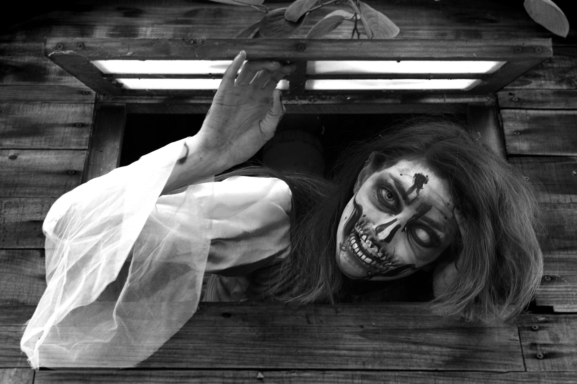 Explore the 2026 Fiesta Fright Haunted House photo