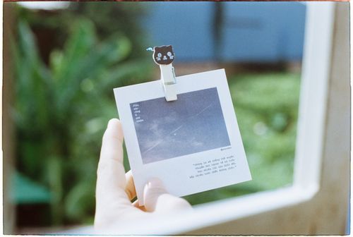 Free A hand holding a printed photo card with a cat clip outdoors in daylight. Stock Photo