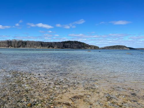 Free A tranquil view of the rocky beach and clear waters at Bar Harbor, Maine in spring. Stock Photo