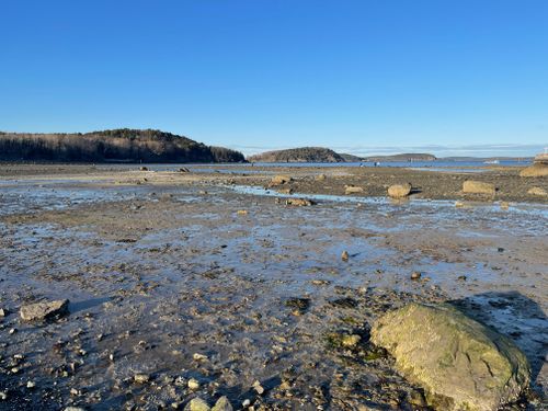 Free Peaceful view of a sandy beach with rocks and blue sky at Bar Harbor, Maine. Stock Photo