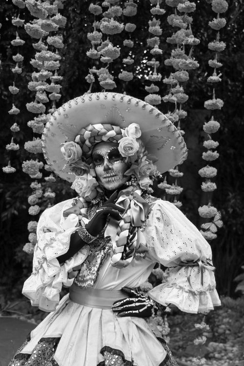 Free A person in a traditional Day of the Dead costume adorned with flowers and makeup, in a hanging floral backdrop. Stock Photo