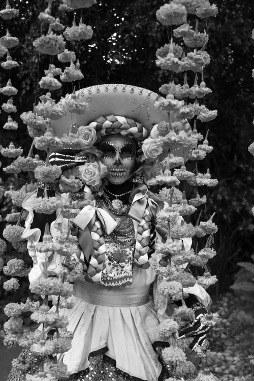 Free Black and white image of a Dia de los Muertos costume adorned with marigold garlands. Stock Photo