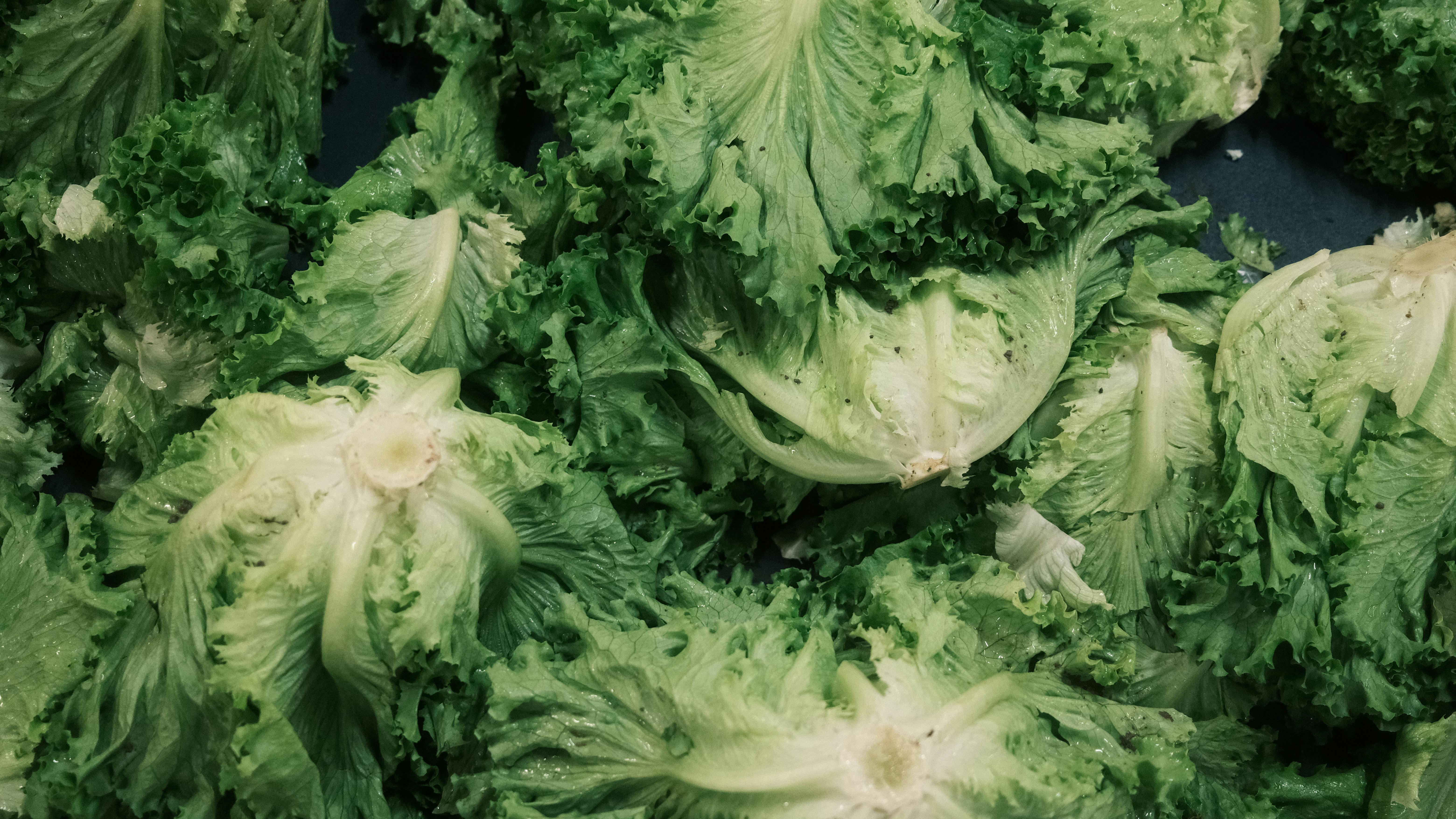 specialty diets — Photo by Sami TÜRK on Pexels
