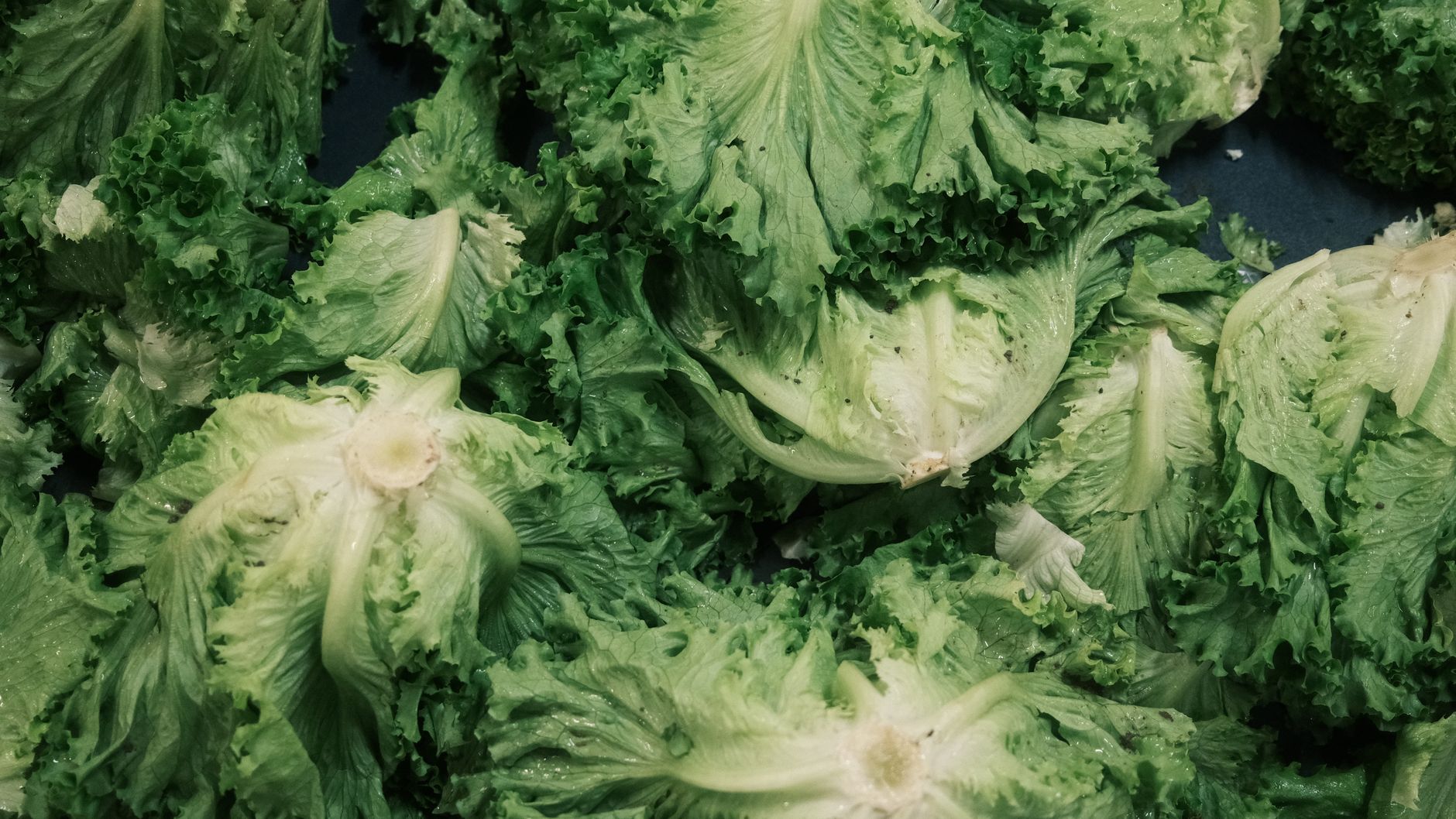 Taylor Farms Recalls