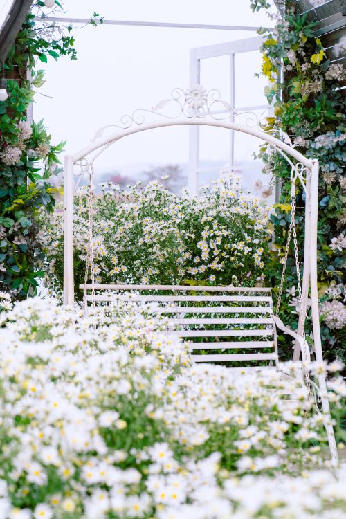 Arbor Swing Seating