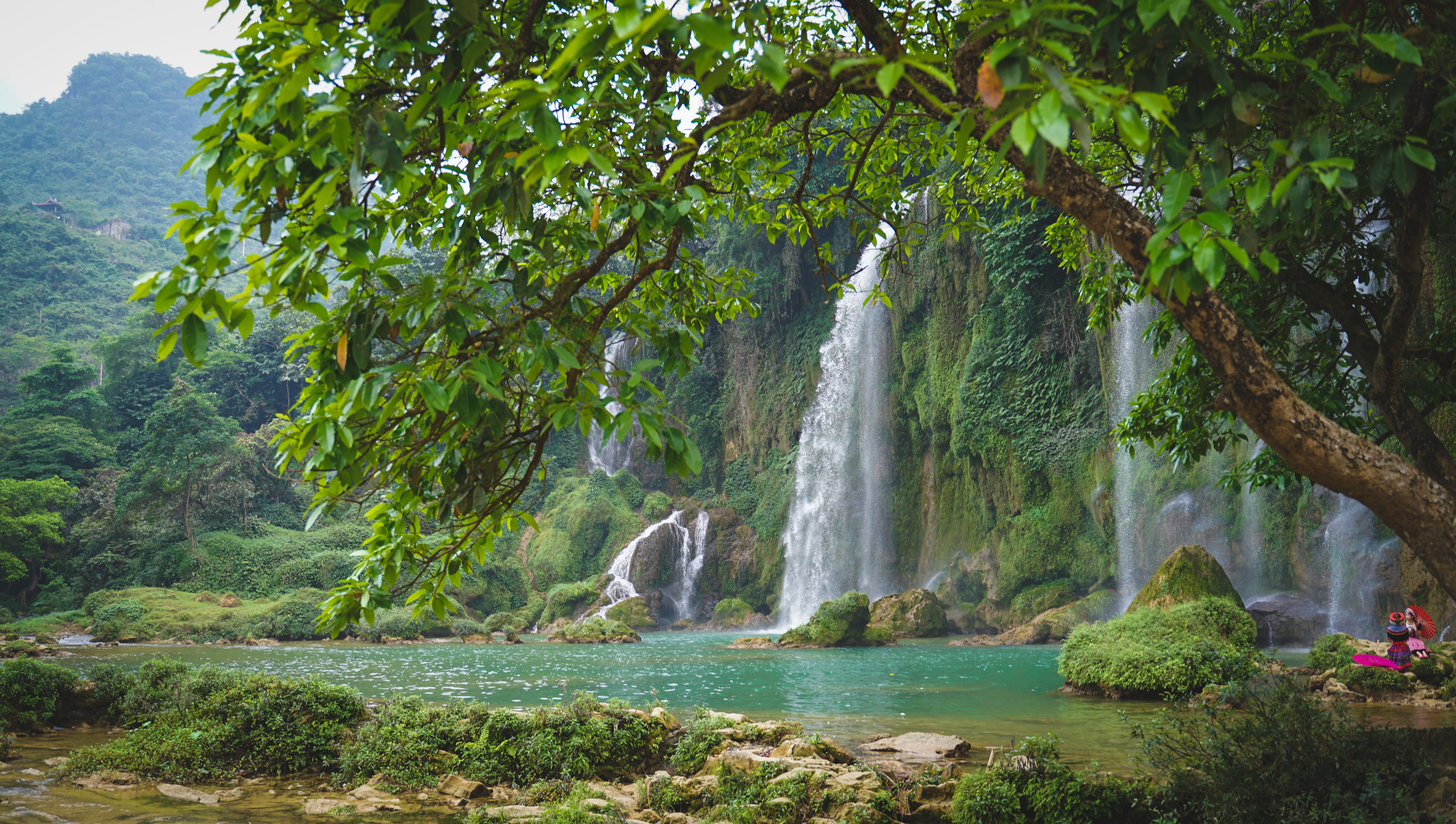 A beautiful waterfall cascades into a clear pool surrounded by verdant forest.