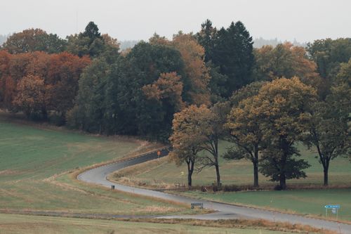 Free Winding rural road surrounded by autumn foliage in Jönköping, Sweden. Perfect for travel inspiration. Stock Photo