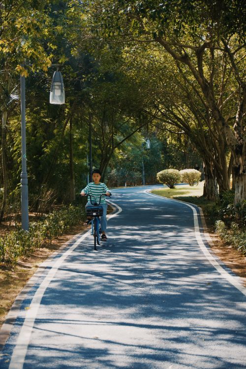 Free A child rides a bicycle on a sunny day along a tree-lined path in a serene park setting. Stock Photo