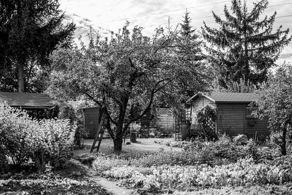 Property line setback limits for sheds and structures — guide cover photo