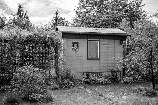 Building a Garden Shed in Ottawa? Get These Decisions Right First