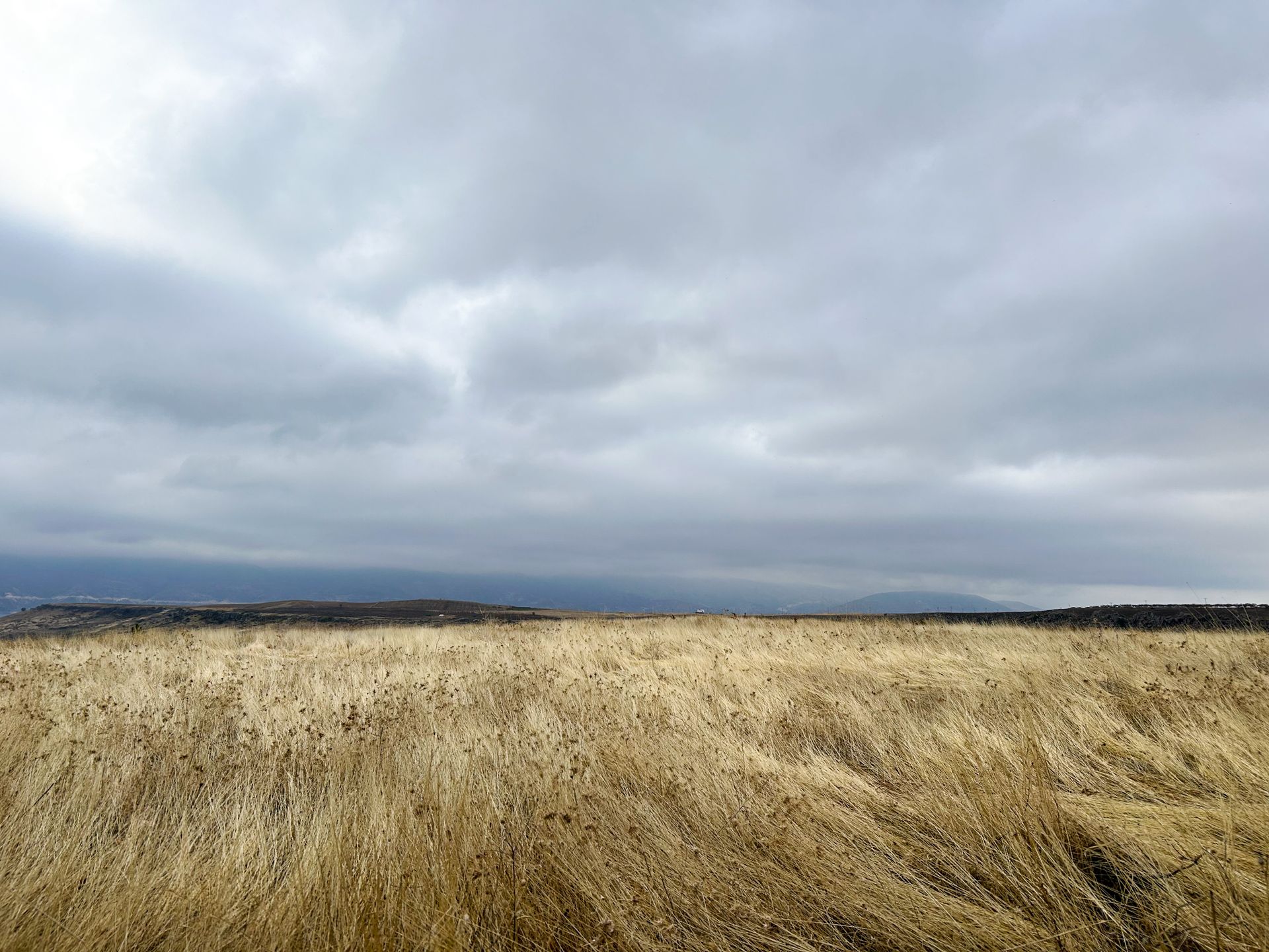 An empty field under an overcast grey sky