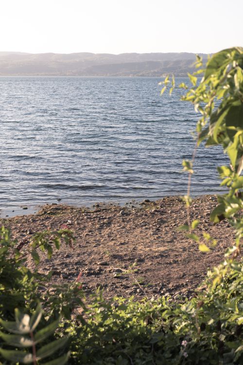 Free Tranquil lakeside scene with lush greenery and calm waters in Sakarya, Türkiye. Stock Photo