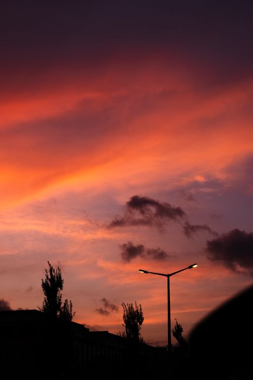 Free A dramatic sunset with vivid hues over a cityscape in Sakarya, Türkiye, featuring silhouetted trees. Stock Photo