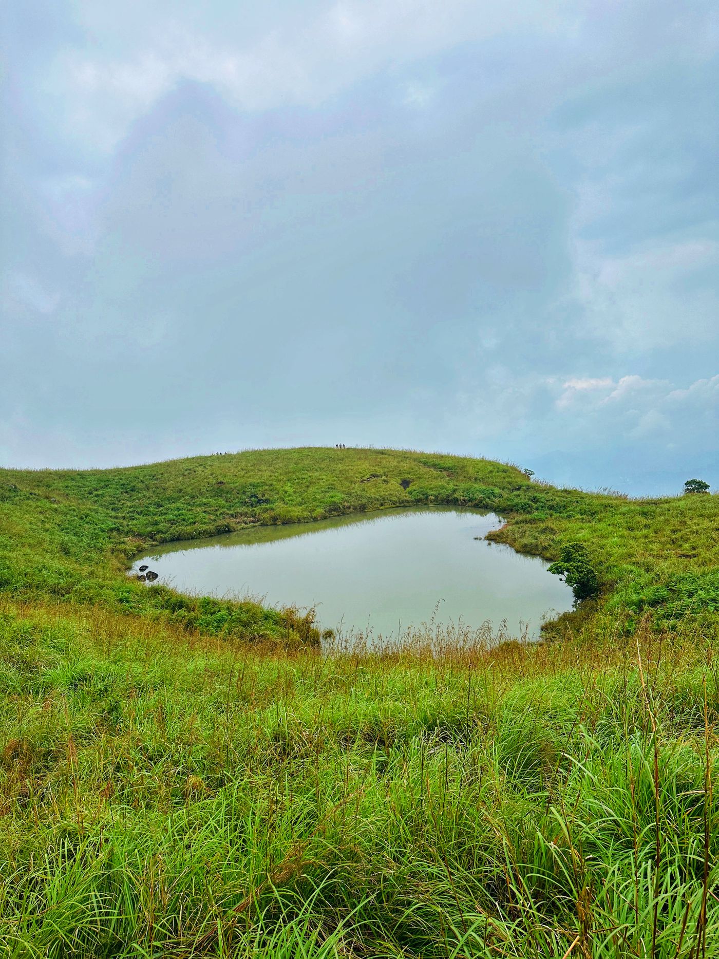 Hill lake set in high grassland — Wayanad, representative image
