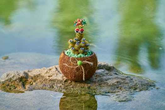 仙人掌的眼睛和丝带在岩石上的椰子壳中显现于水中