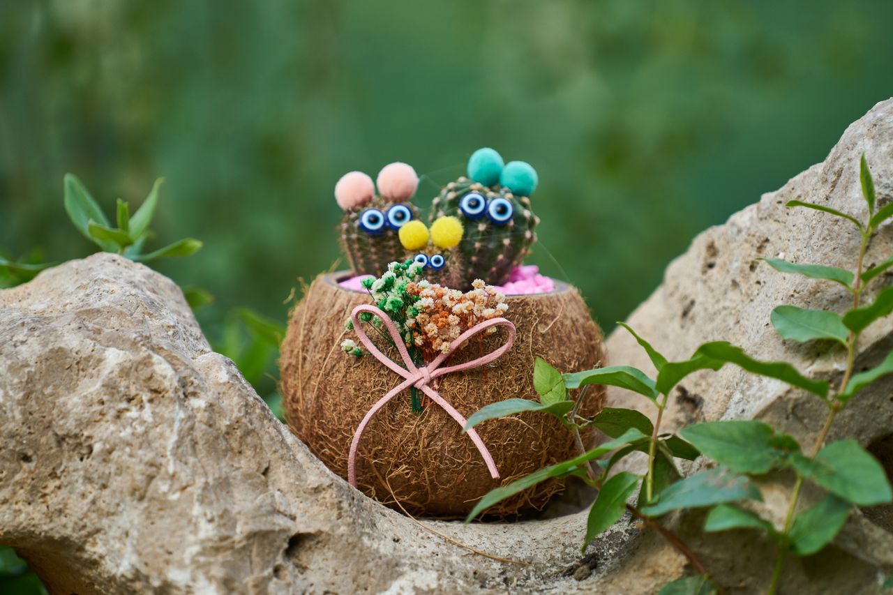 Coconut shell craft