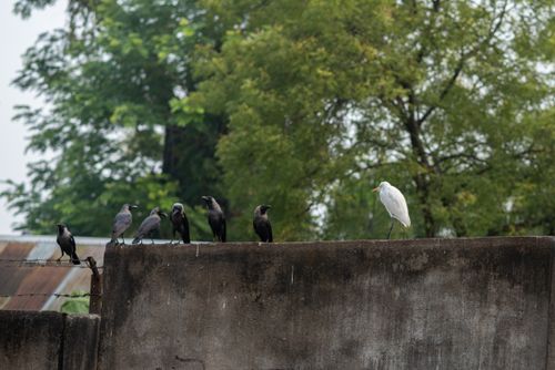 Free odd Stock Photo