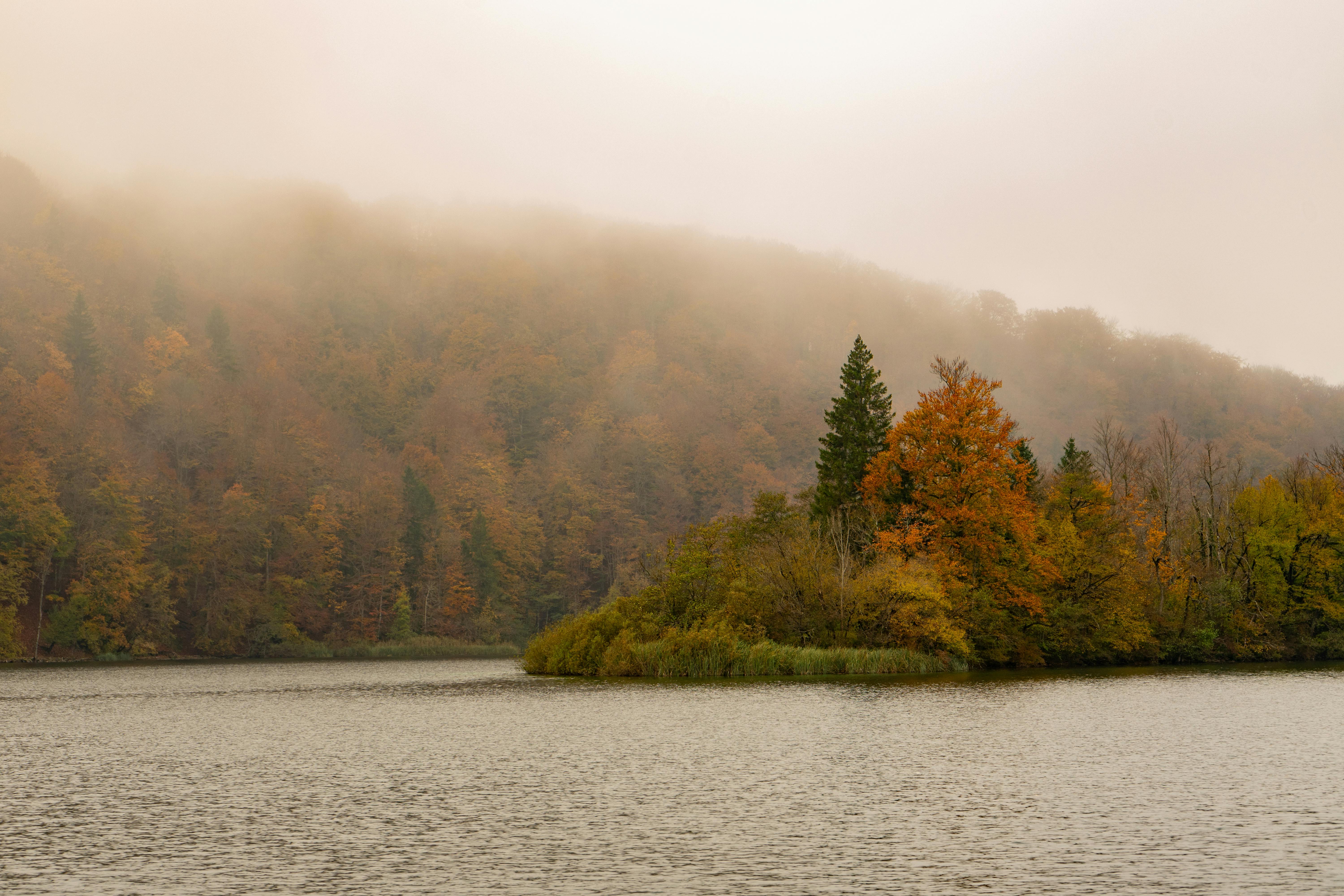 Beautiful misty autumn scene at Plitvice Lakes National Park, Croatia.