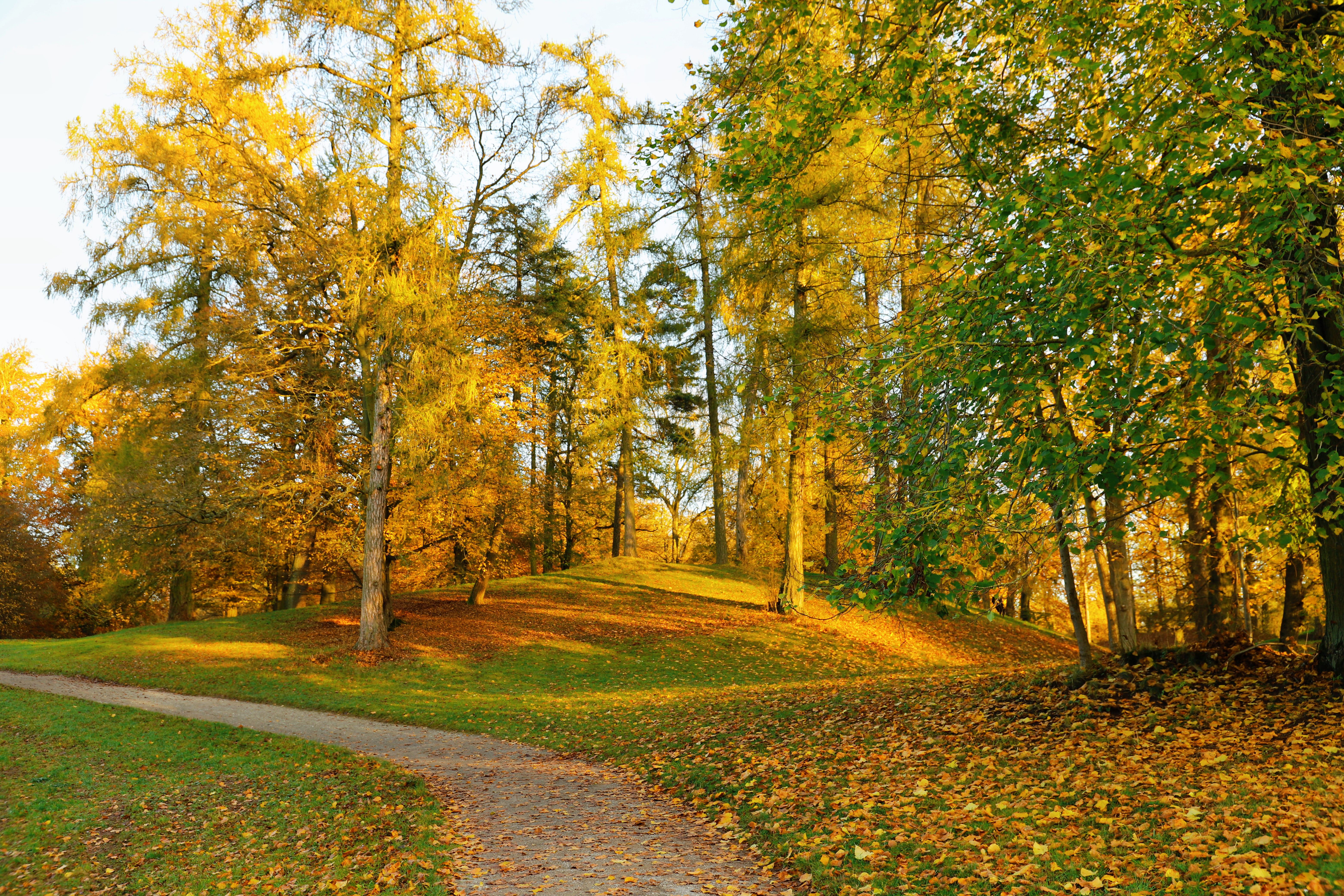 Step to Fitness: How to Make Walking Your Workout