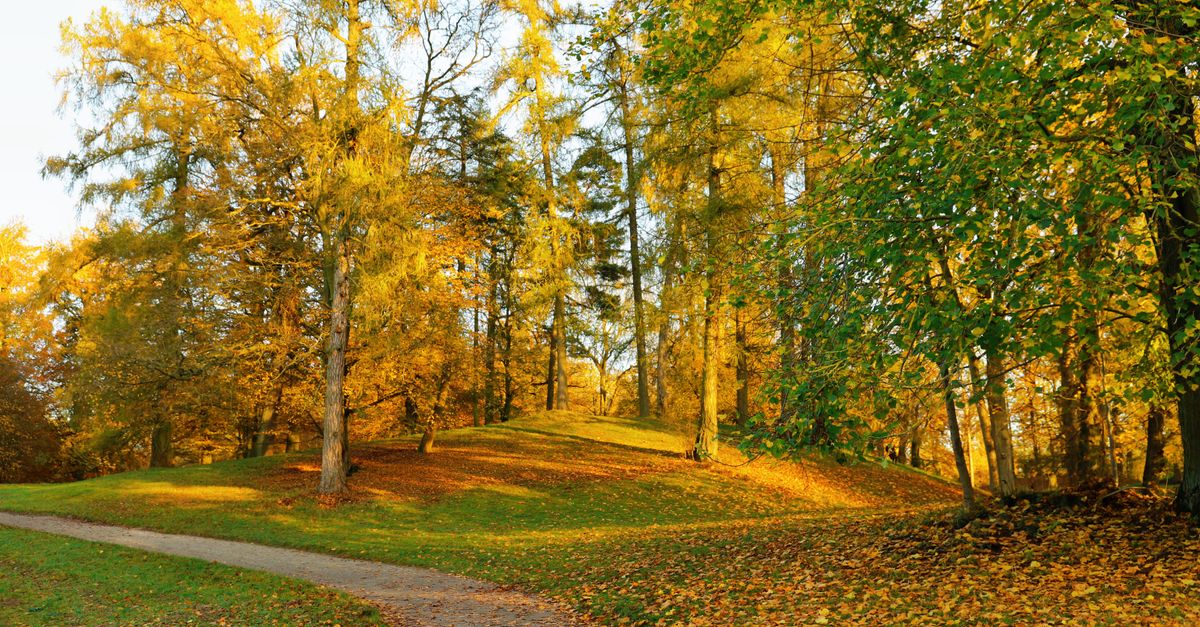 Step to Fitness: How to Make Walking Your Workout