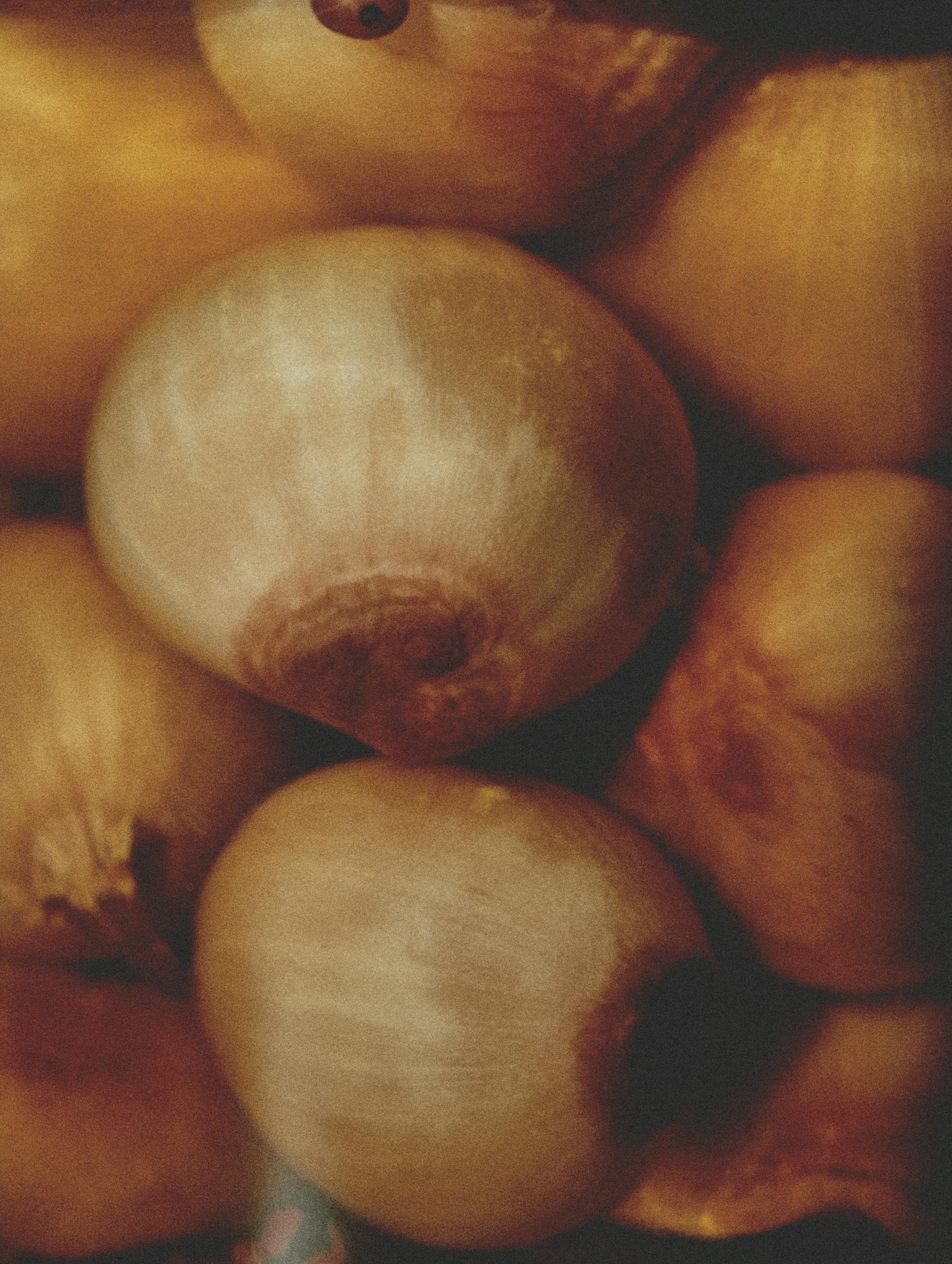 close up of organic onions in soft lighting