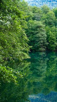 Explore the tranquil reflection of lush greenery in Bolu, Türkiye's serene lake.