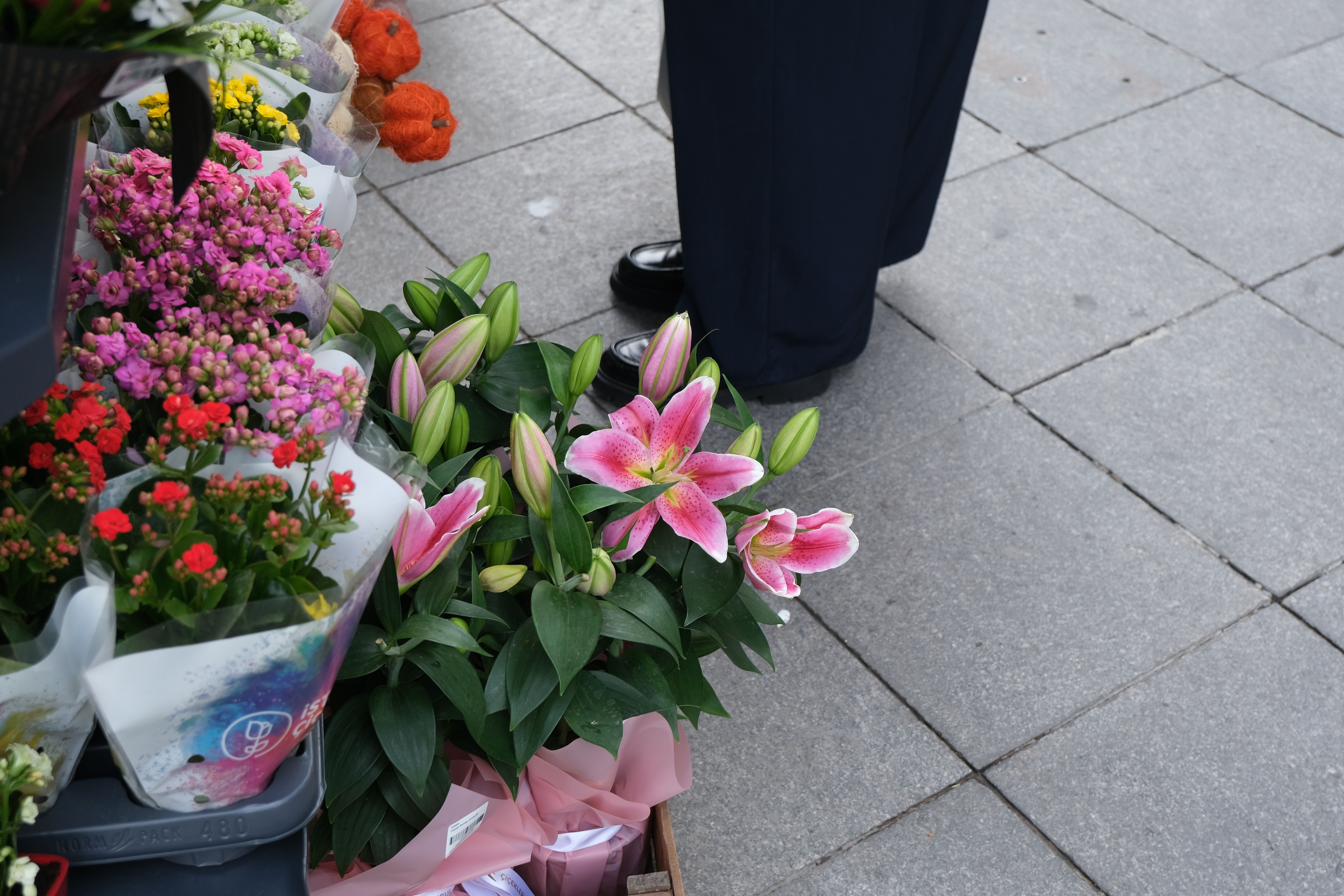 [ColoSach]-vibrant-flower-bouquets-displayed-on-a-city-sidewalk,-ideal-for-market-or-urban-themes.