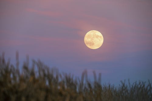 Harvest Moon Festivities: Celebrate The Sky & Autumn Transition