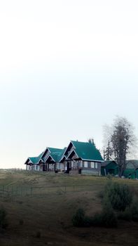 A row of picturesque houses with green roofs on a tranquil hillside setting.