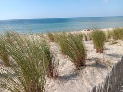 Dunes de sable blanc avec oyat, côte atlantique, île d'Oléron