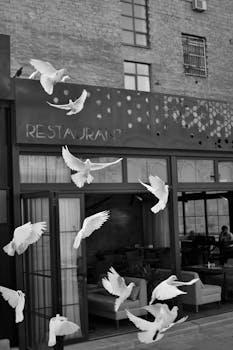 Graceful white doves fly near a stylish restaurant facade, creating a serene urban scene.