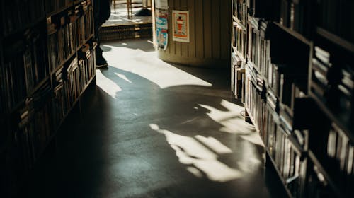 Books organized on shelves