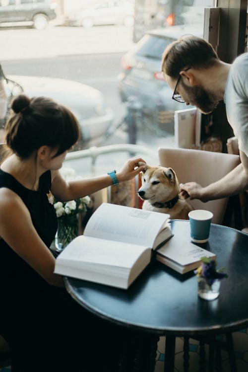 Foto De Pessoas Ao Lado Do Cachorro