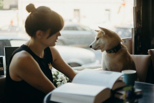 Free A woman enjoying leisure time with her Shiba Inu dog at a cozy cafe table. Stock Photo