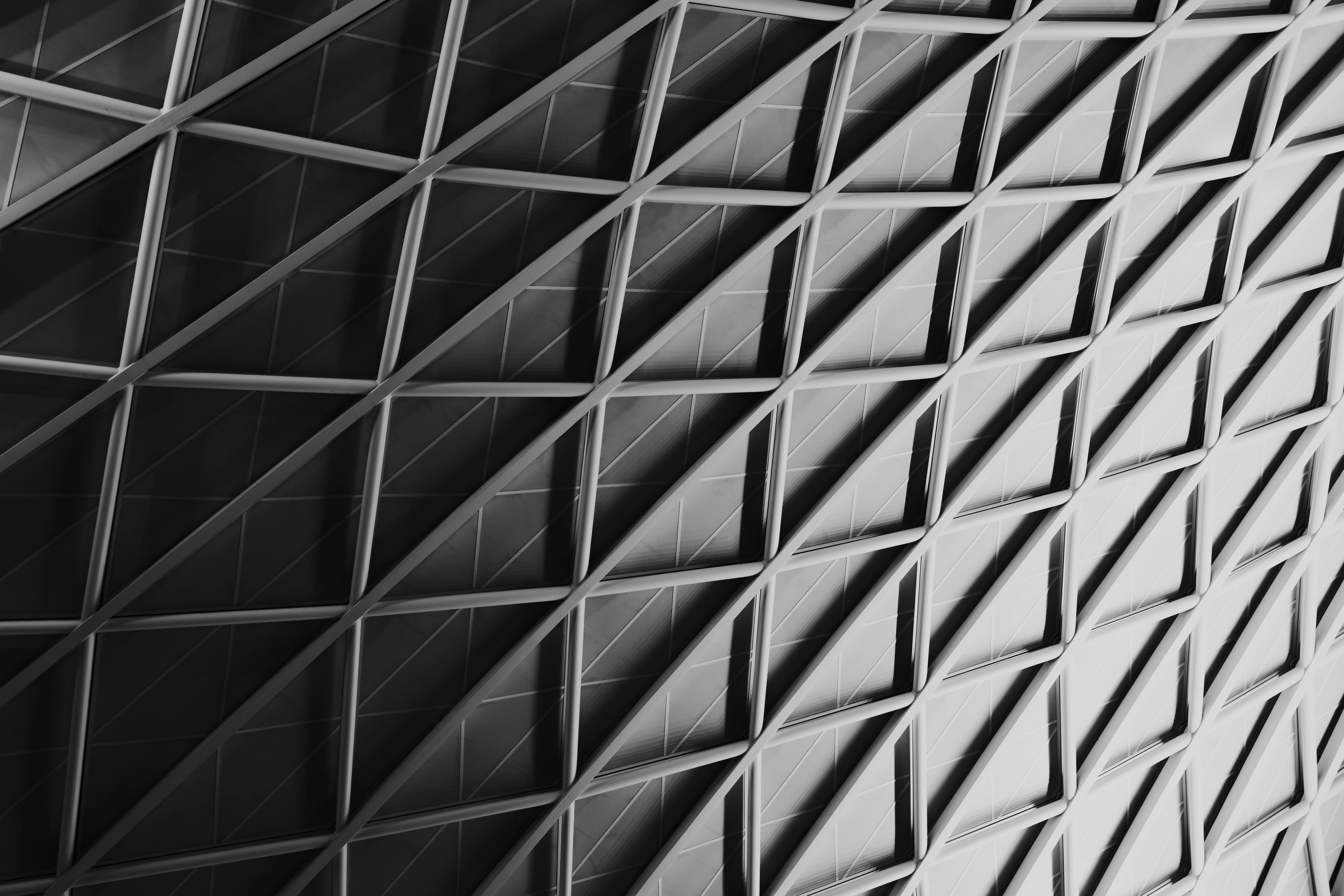 McKinsey Technology Trends Outlook 2025 — Photo by Matheus Bertelli on Pexels