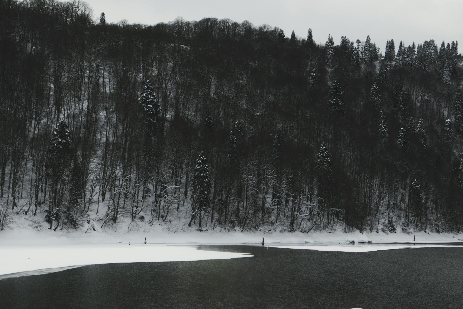 Snow-covered forest and frozen lake in Ambrolauri, Georgia during winter.