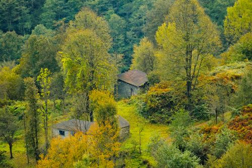 Free Serene autumn landscape with rustic cabins surrounded by lush trees and foliage. Stock Photo