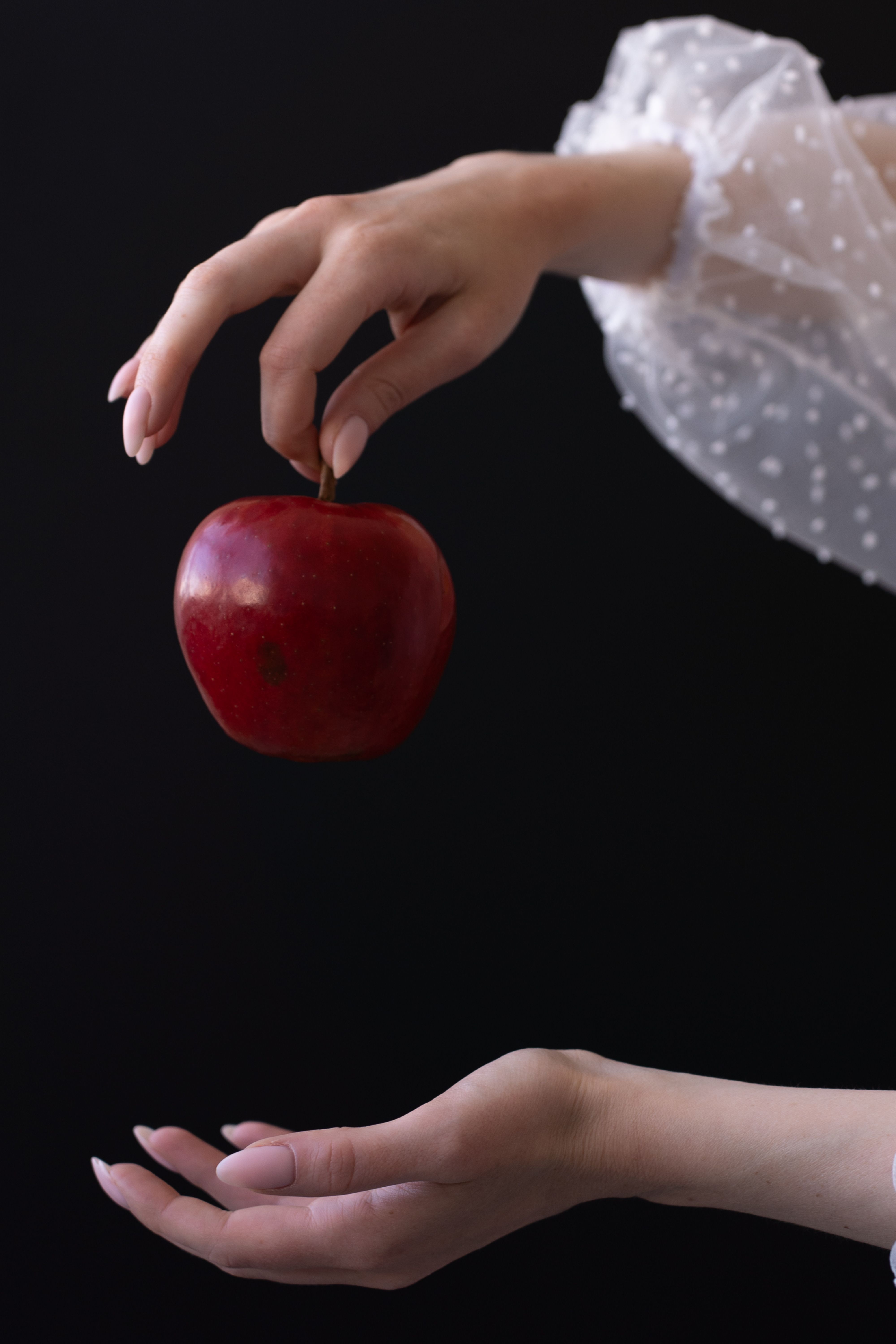 Artistic photo of a hand delicately holding a vibrant red apple against a dark background.