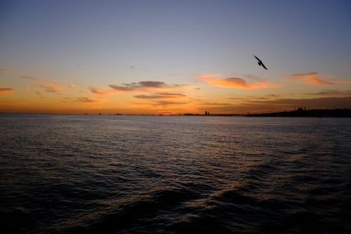 Free Captivating sunset view over İstanbul's Bosphorus with a seagull soaring in the sky. Stock Photo