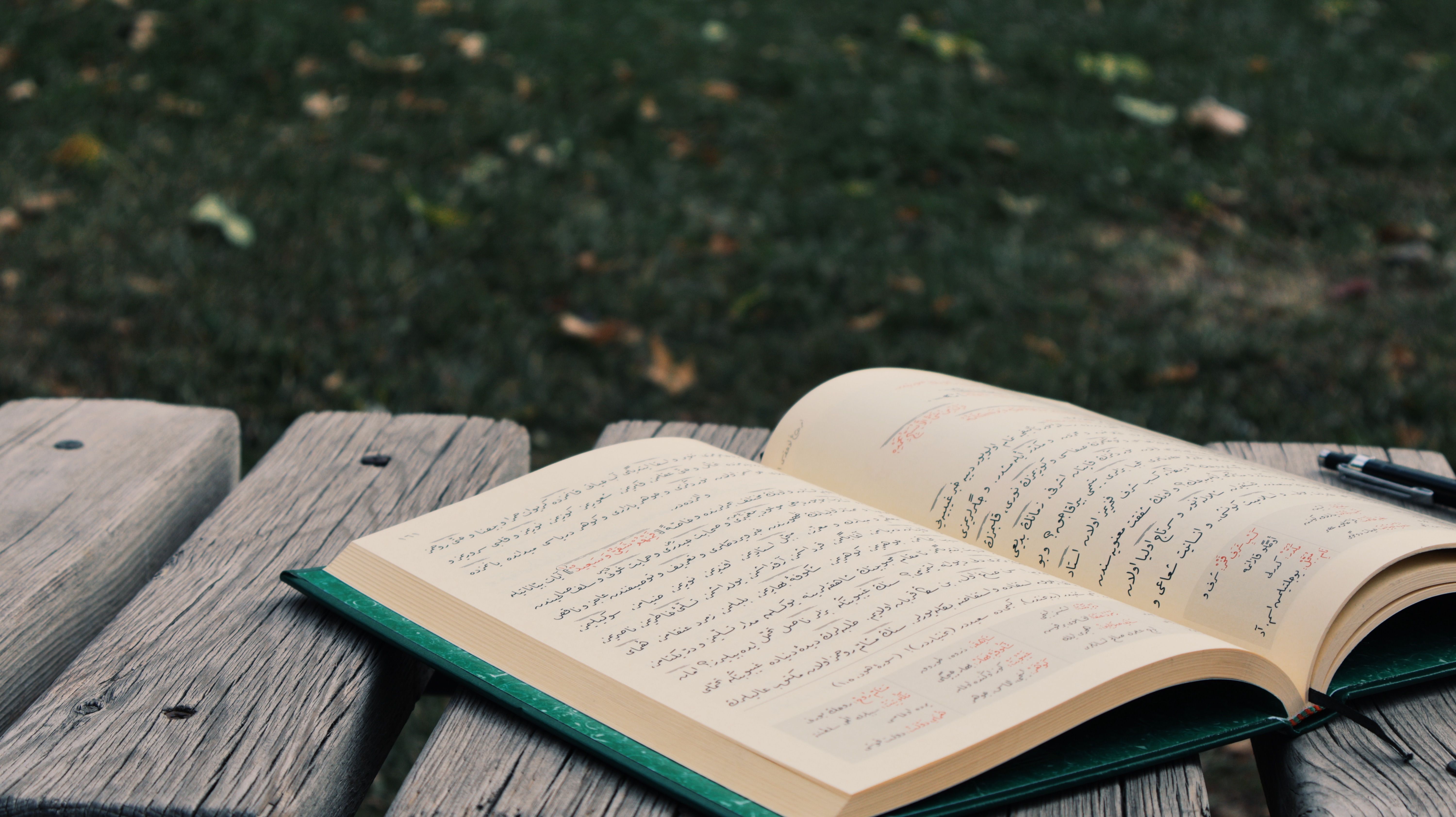 language learning, language learning ai, language learning apps, language learning journal, language learning with netflix, l