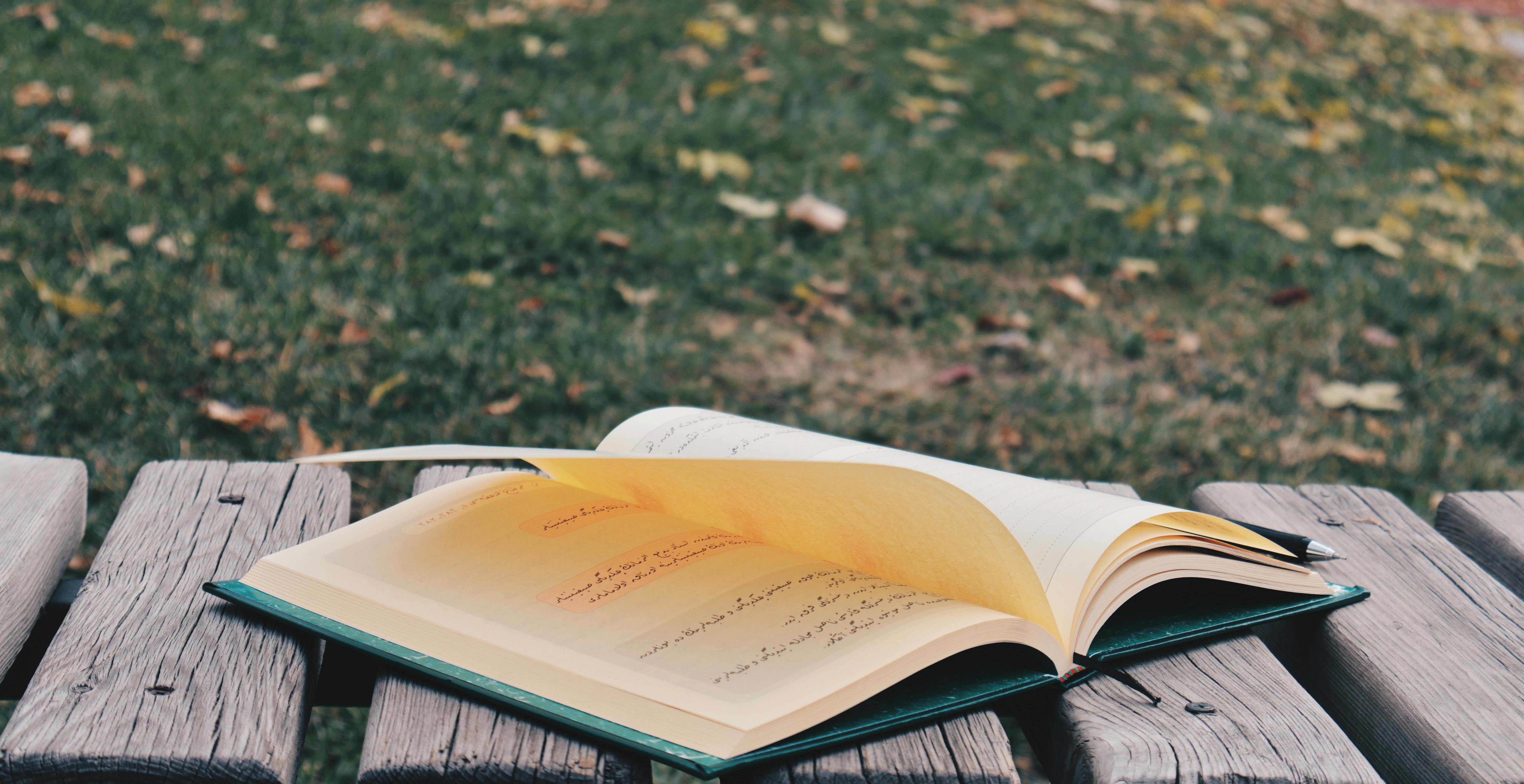Language learning benefits are a must for Gen Z talent — Photo by bernahanım_ on Pexels