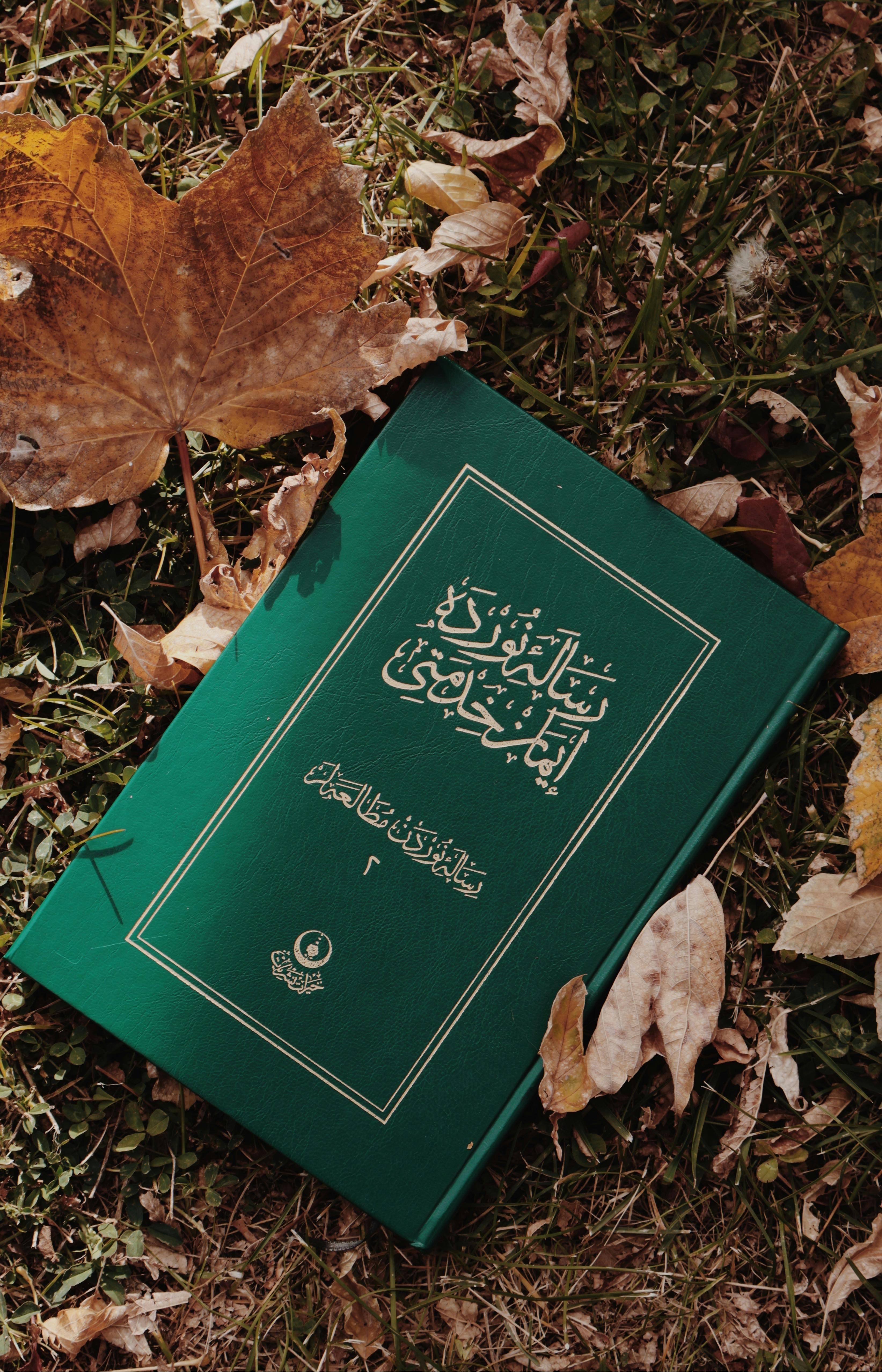 green book on grass with autumn leaves