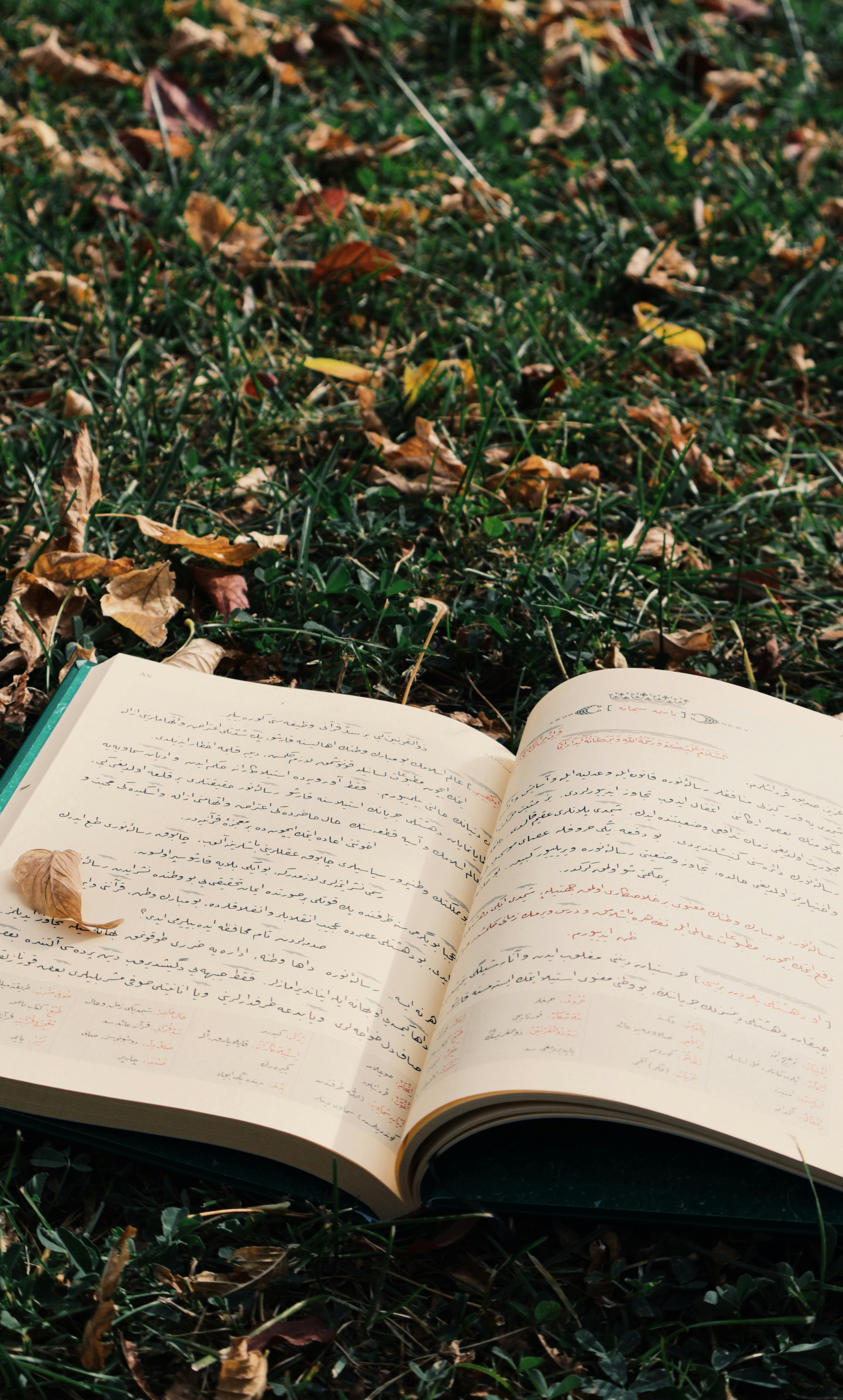 open book on grass with autumn leaves