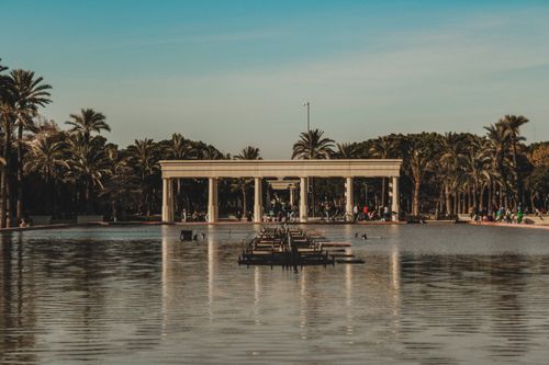 Free Peaceful pond surrounded by palm trees in Valencia park, perfect for leisurely strolls. Stock Photo